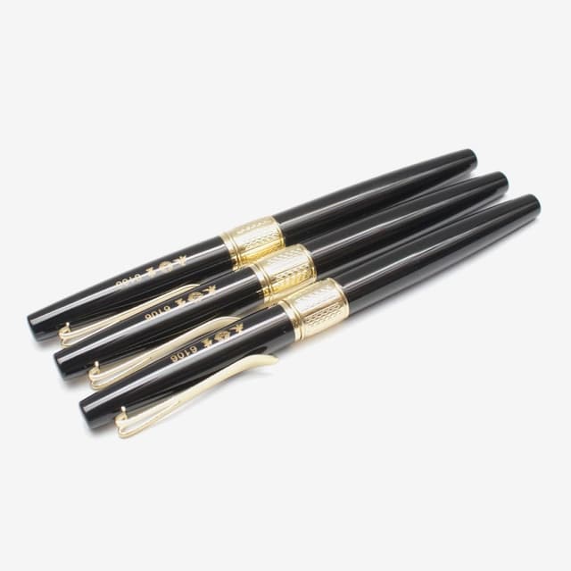Fancy Fountain Pen Set of 3