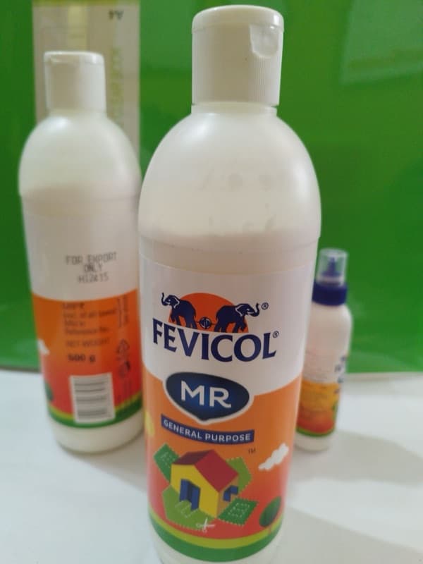 Febicol 200 Gram In Bottle