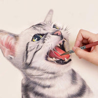 Thumbnail for Habico Sablon Round Paint Brush 1pc